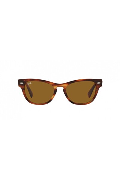 Ray-Ban Rb2201 Laramıe 954/33 54