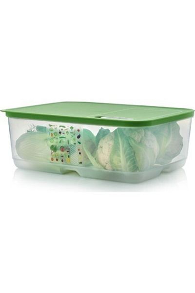 Tupperware Greenhouse Series Vegetable Fruit Storage Container