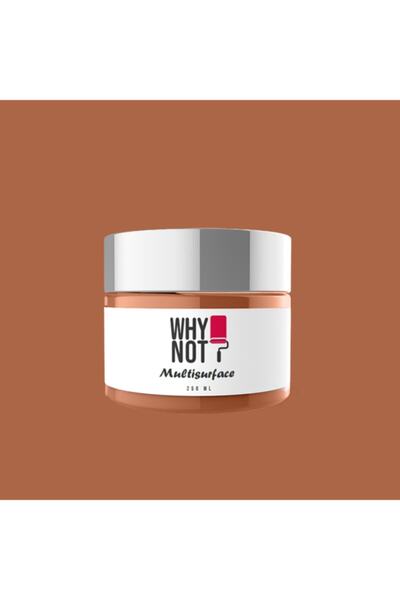 WHY NOT Warm Terracotta Multisurface Kendinden Vernikli Akrilik Boya 250ML