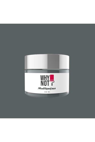 WHY NOT Serious Gray Multisurface Kendinden Vernikli Akrilik Boya 250ML