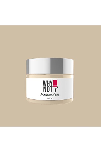 WHY NOT Natural Choice Multisurface Kendinden Vernikli Akrilik Boya 250ML
