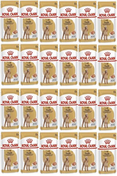 Royal Canin Adult Poodle Caniche Tüy Sagligi Destekleyici Yetiskin Köpek Kons...