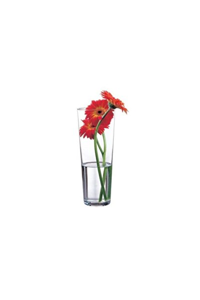 Paşabahçe Botanica Flora Vazo 1 AdetT26 cm