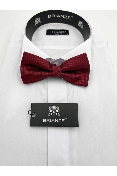 Brianze Light Burgundy Bow Tie TP-22