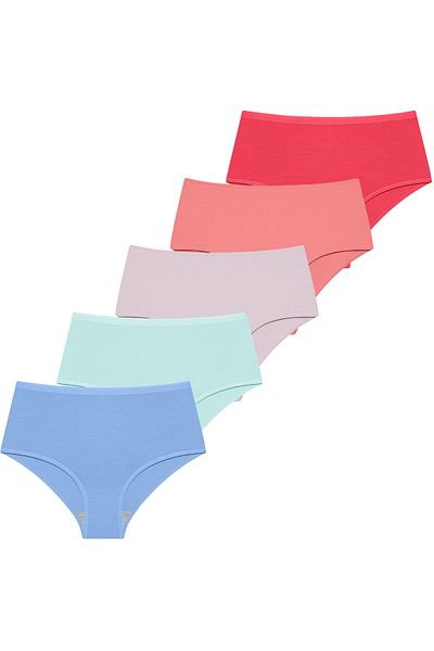 GIORGINA FERRI Lycra Box of 5 Premium High Waist Panties Suitable for Daily Use Berry G-007 D