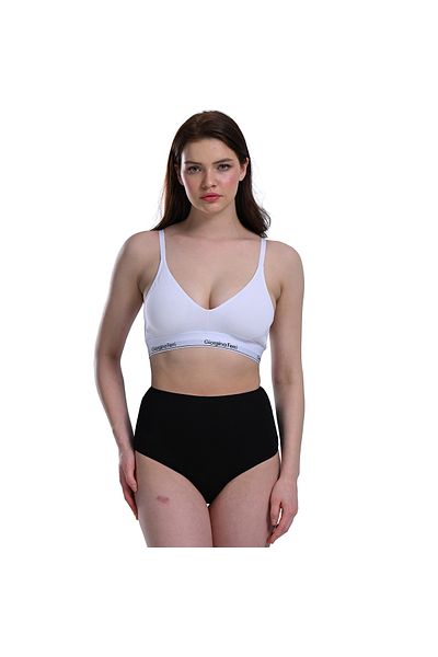 GIORGINA FERRI Lycra Box of 5 Premium High Waist Panties Suitable for Daily Use Berry G-007 E