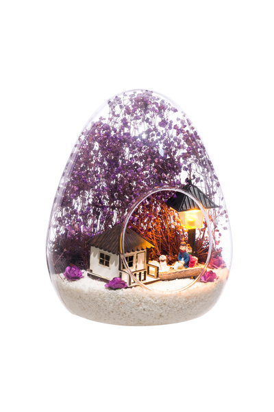 Home Terarum Rüya Gibi Evimiz Mor-Işıklı