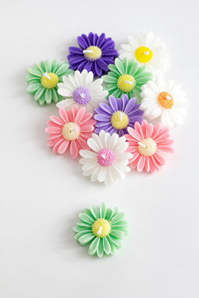 moiartdesing Bernamioffcial 10’lu Renkli Papatya Mum