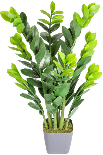 Herdekora Saksıda Yapay Zamioculcas Ağacı Yeşil 90 cm