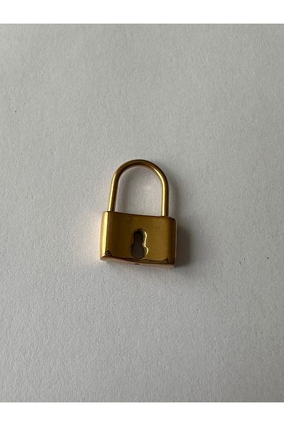 Amor Center 316L Model Lock Steel Piercing Earrings