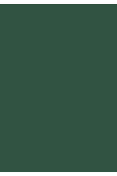 Jotun Aqua Pro RAL 6028 Kieferngrün Metal Boyası 0,9 LT