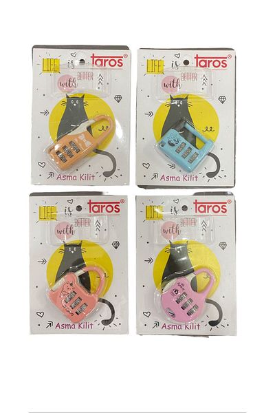 Mikro VINTAGE HANGING LOCK