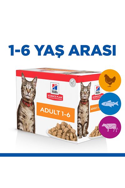 Hill's SCIENCE PLAN Tavuklu Yetişkin Kedi Pouch 12 X 85g