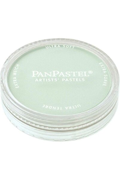 Panpastel Ultra Soft Artist Pastel Paint Permanent Green Tint 26408