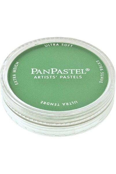 Panpastel Ultra Soft Artist Pastel Paint Permanent Green 26405