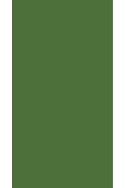 Jotun Aqua Pro RAL 6010 Grasgrün Metal Boyası 0,9 LT