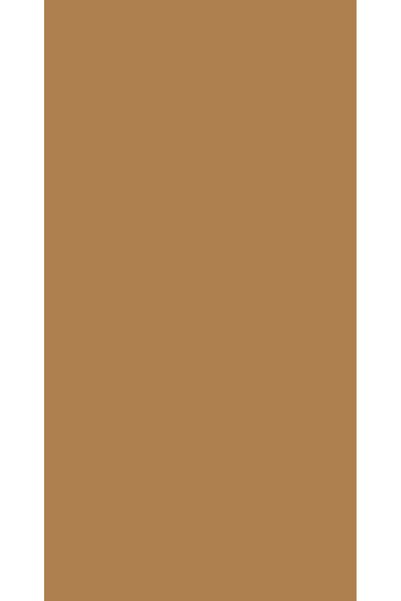 Jotun Aqua Pro RAL 1011 Braunbeige Metal Boyası 2,25 LT