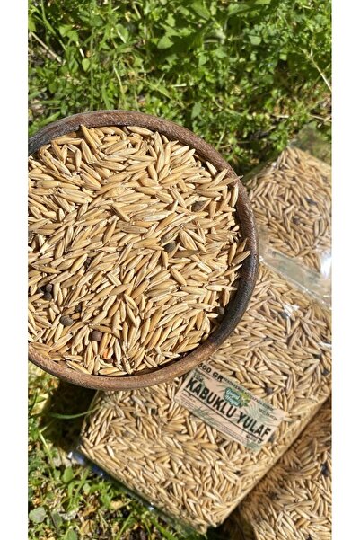 Doğal hayat 54 Kabuklu (Tane) Yulaf 500 Gr