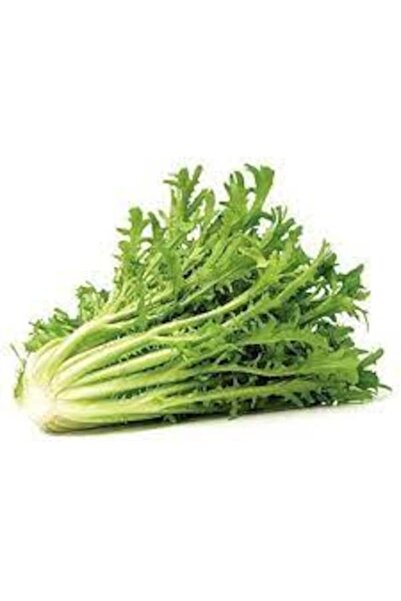 Köy Tohumları 50 Adet Tohum Organik Yabani Kır Kara Hindiba Hindibağı Otu Tohumu Şifalı Bitki Saksı Toprak Hediye