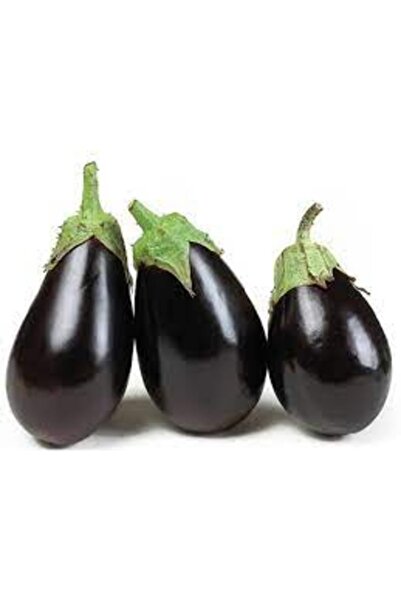 Köy Tohumları 100 Adet Tohum Organik İri Bostan İri Patlıcan Kurutmalık Patlı...