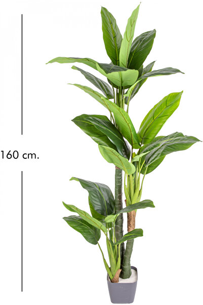 Herdekora Yapay Ağaç Difenbahya Gerçek Dokulu 27 Yaprak 160 Cm.