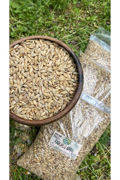 Doğal hayat 54 Kabuklu Arpa 500 gr