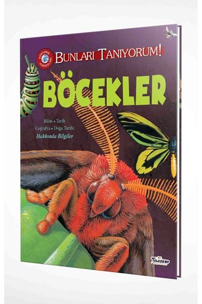 Teleskop Yayınları I Know Them! - Insects Telescope Book