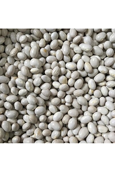 Köy Tohumları 150 Adet Tohum Organik Beyaz Şeker Fasulye Fasülye Tohumu Çabuk...