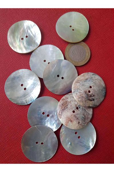 Beyna SEDEF 1ST QUALITY NATURAL REAL SEDEF 3.5 CM BUTTON 1 PACK 6 PIECES