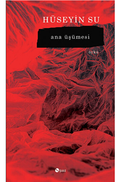 Şule Yayınları Ana Üşümesi Şule Yay. (Koruma Poşetli)