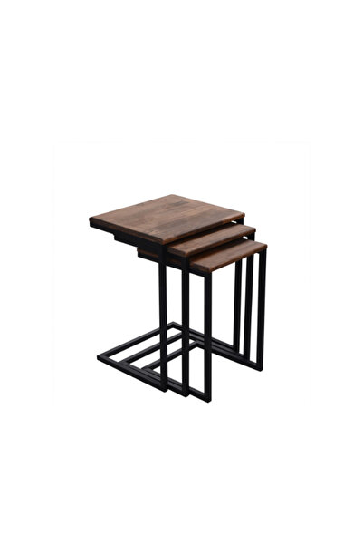 ENJOY LİFE EnjoyLife Doğal Ahşap 3'lü Zigon Sehpa