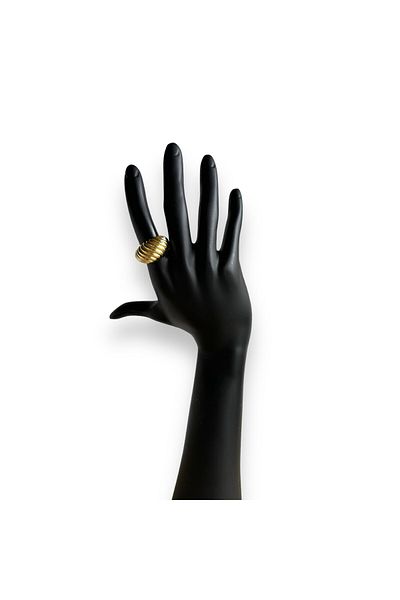 neslyaccessories Stainless 316L Steel Curved Ring