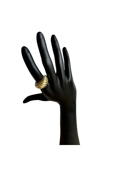 neslyaccessories Stainless 316L Steel Curved Ring