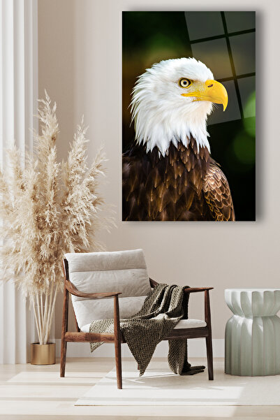 duvarsanatı Tablou vertical cu vultur din sticlă, decor modern de perete pent...