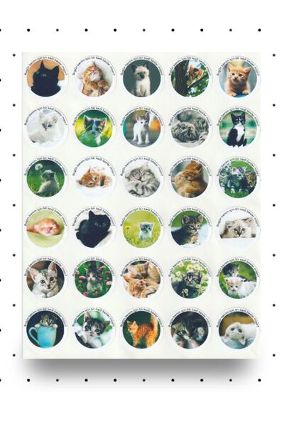 NUNUKİ قطط نونوكي - مجموعة ملصقات لطيفة ورسائل، ملصق لاصق للقطط NSTI0170