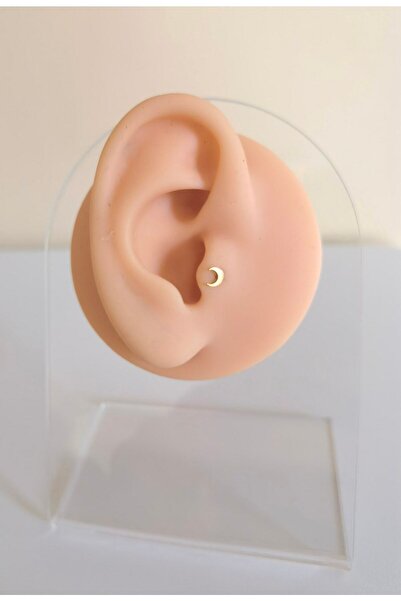 Bylin Cerrahi Çelik Minik Ay Piercing-1 Adet