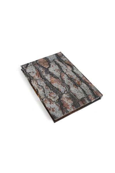 Mikasa Moor Living Woods Forest Book Box 34x24x3cm