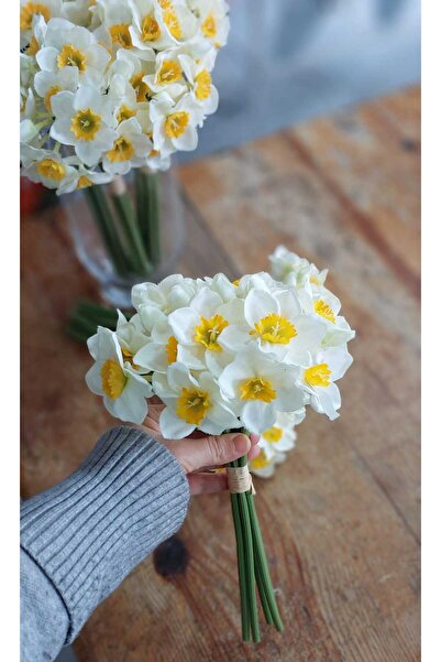 lolipophobi باقة زهور النرجس الاصطناعي 1 باقة، زهرة صناعية، ديكور، زهرة النرجس