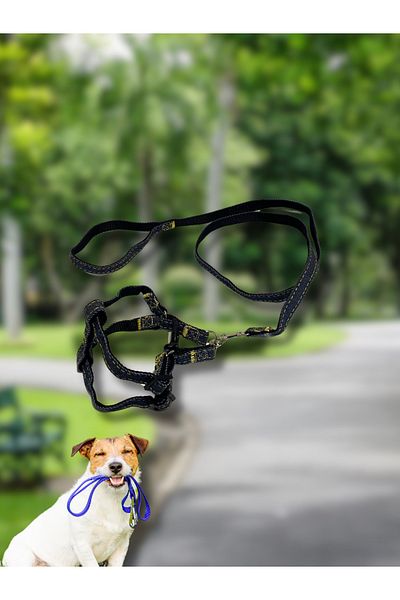 PETQUATRO BOXY DOG SIZE GRAP SET ADJUSTABLE DURABLE STYLISH