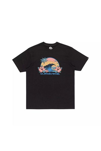 Quiksilver Riding Today Men's T-Shirt EQYZT07676