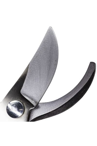 ALETÇANTAM Denizli Steel Pruning Shears Vineyard Garden Scissors (BIG SIZE)