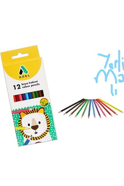 Adel Long Size 12 Colors Dry Paint