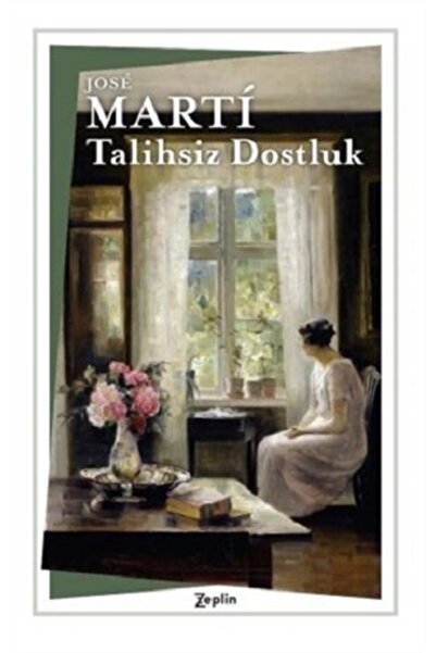 Zeplin Kitap Talihsiz Dostluk