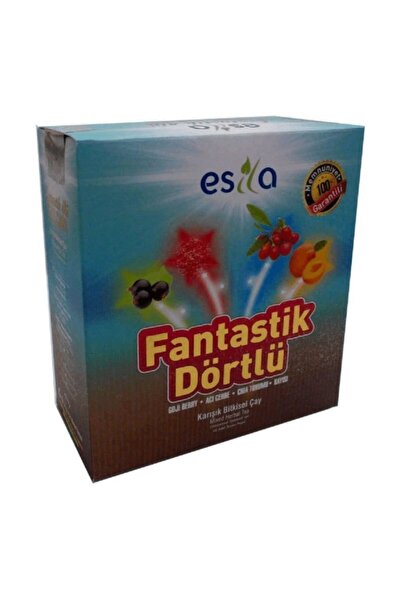 ESİLA Fantastik Dörtlü Bitki Çayı 45 Süzen Poşet