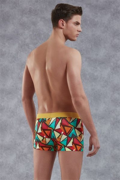 Doreanse Ανδρικό Modal πολύχρωμο εμπριμέ τσαντάκι Normal Leg Boxer 1873