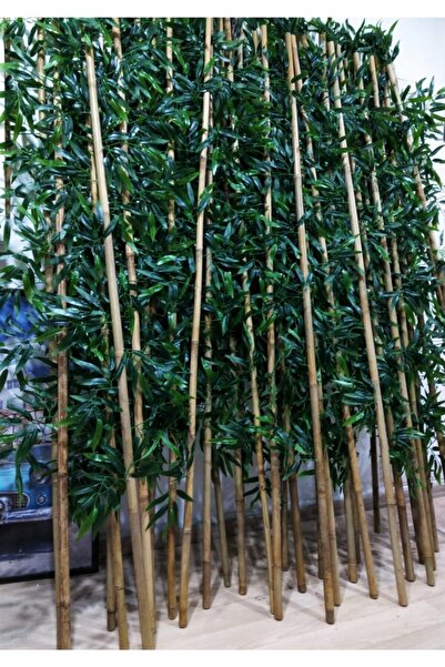 Bambu 10 Adet 2 Metre Boyundadır Kalın Gövdelidir Çiçek Yaprak