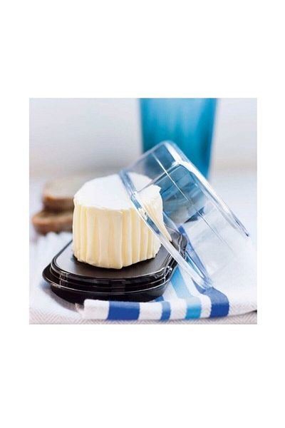 Tupperware Crystaline Series Butter Serving and Storage Container