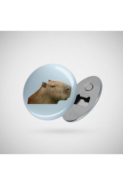 Fizello Capibara Profil Opener