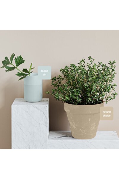 WHY NOT Natural Choice Multisurface Kendinden Vernikli Akrilik Boya 250ML