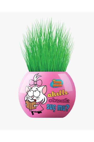 Grultu Çim Adam Figür Kral Şakir Canan Akıllı Olmak Suç Mu Cocopeat&torf Topr...